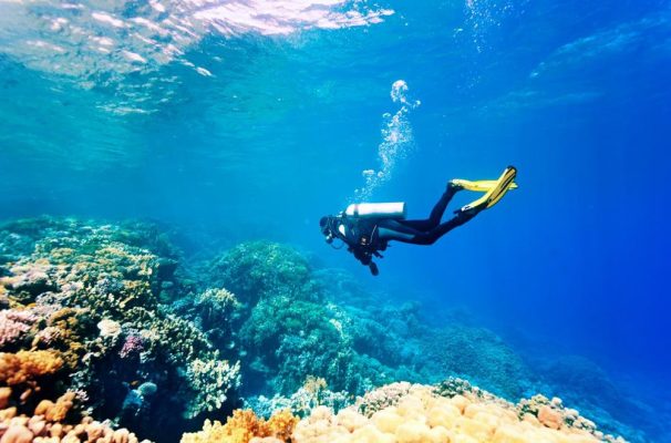 TOUR LẶN BIỂN QUY NHƠN – QUY NHON DIVING TOUR 1 DAY
